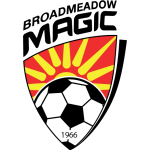 Broadmeadow Magic crest