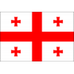 Georgia U19 crest