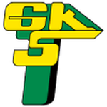 Górnik Łęczna W crest