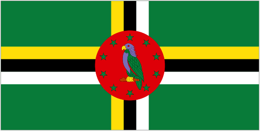 Dominica U20 crest