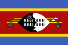 Eswatini U20 crest