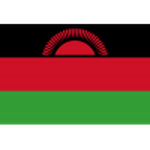 Malawi U20 crest