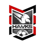 Holland Park Hawks crest