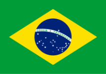 Brazil U17 crest