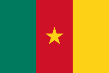 Cameroon U17 crest