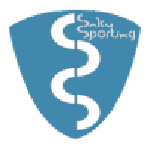 Saku Sporting crest