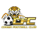 Cooma Tigers FC crest