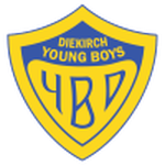 Young Boys crest