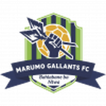 Marumo Gallants U23 crest