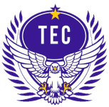 Taguatinga U20 crest
