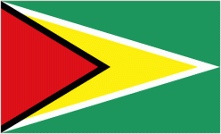 Guyana W U17 crest