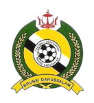 Brunei U19 crest