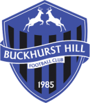 Buckhurst Hill crest