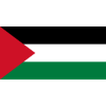 Palestine U20 crest