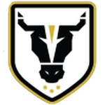 Bulls Academy crest
