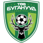 Central Stallions crest