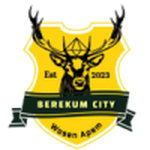 Berekum City crest