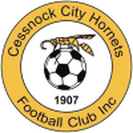 Cessnock City Hornets crest