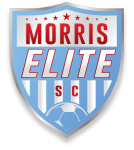 Morris Elite W crest