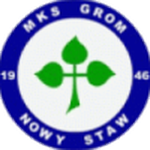 Grom Nowy Staw crest