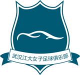 Wuhan Jiangda W crest
