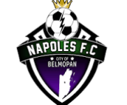 Napoles crest