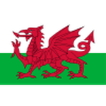 Wales U17 W crest