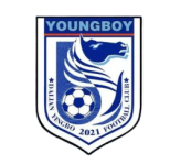 Dalian Yingbo B crest