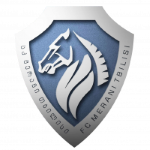 Merani Tbilisi crest