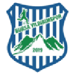 Bursa Yıldırımspor crest