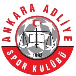 Çankaya FK crest