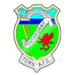 Pontardawe Town crest