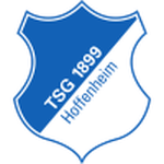 Hoffenheim U19 crest