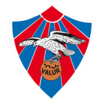 Valur crest